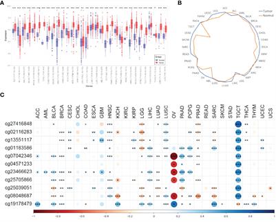 MIR4435-2HG Is a Potential Pan-Cancer Biomarker for Diagnosis and Prognosis